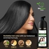 Biogreen Roots Herbal Natural Black Hair Color Shampoo (400ml) with 200ml Hair Treatment for Grey Hair Coverage in 10 Minutes - Hair Coloring for Men, Women, All Hair Types - Natural Black Hair Dye