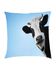 Texveen An-P-0009 Animals Digital Printed Pillow Cover - Multicolor - 40x40 cm