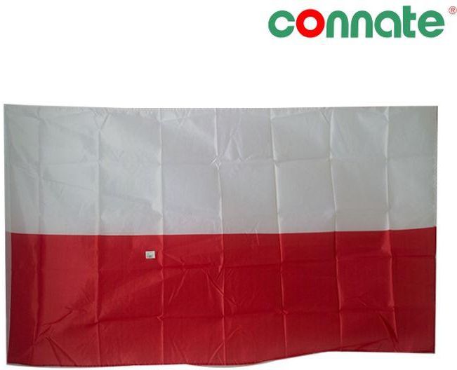 Connate Flag 59"X35" Assorted Countries Poland