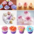 12 PCS Russian Piping Nozzles Cake Decoration Tips (assorted Designs)