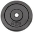Cast Iron Generic 5kg Gym Weight Plate Black Cast Iron