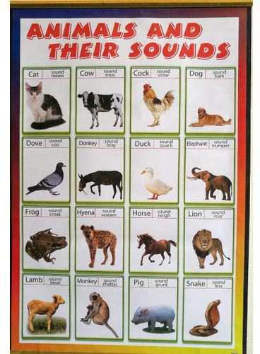 Jumia Books Animals And Their Sounds Chart Alphabet Educational price from  jumia in Kenya - Yaoota!