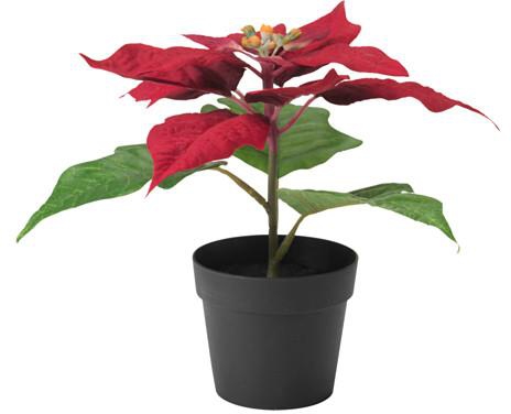 FEJKAArtificial potted plant, Poinsettia red
