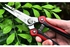 ECVV Hand Pruning Shears Gardening Scissors with Straight Stainless Steel Pointed Blade Ultra Sharp Picking Shears for Flowers Fruits Vegetables