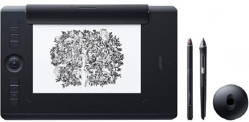 Wacom Intuos Pro (PTH-660P-N) Creative Pen & Touch Tablet