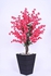 Artificial Apricot Tree Black Boots Wood For Decoration