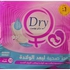 Dry Post 10 Dry Post Sanitary Napkin