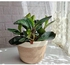 Handmade Plant Pot, 30 cm, Beige/White - B511
