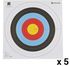 Geologic 5 Faces 80x80cm Archery Target