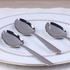 Stainless Steel Spoon - Set of 4