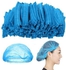 Disposable Hair Nets (100 Pcs)
