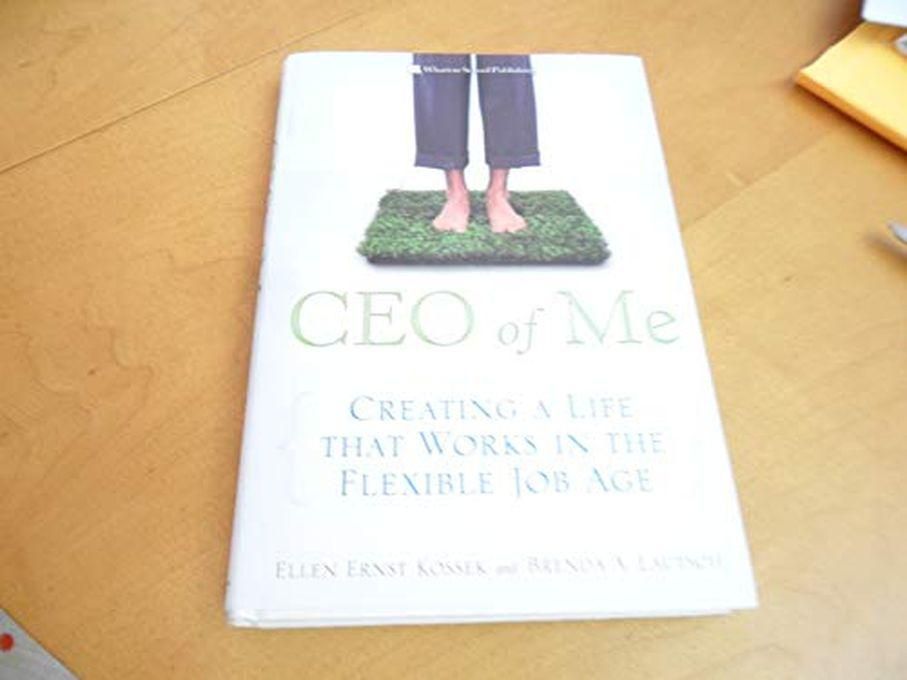 Pearson CEO Of Me: Creating A Life That Works In The Flexible Job Age ,Ed. :1