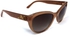 Dolce & Gabbana Sunglasses For Women - Brown, 4160, 54, 2678, 13