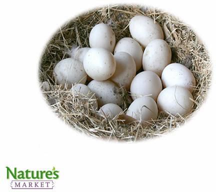 Balady Eggs (Organic)