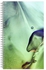 دفتر ملاحظات بطبعة وسلك حلزوني مقاس A4 أخضر / أزرق/ أصفر