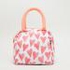 Syloon Printed Lunch Bag with Zip Closure