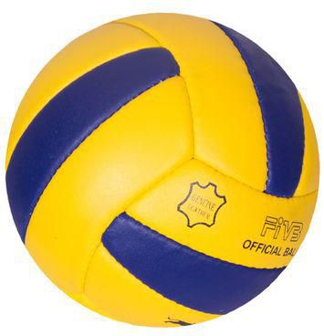 Generic Dadico FIVB leather volley ball size 4