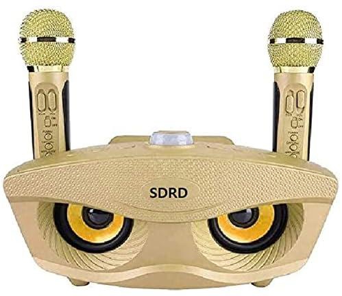 SDRD Wireless Bluetooth Speaker with 2 Microphones, Portable Karaoke Machine (Princess)