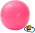 Fitness Exercise Swiss Gym Fit Yoga Core Ball 65CM Abdominal Back Leg Workout Pink