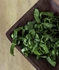 Organic shredded fresh spinach
