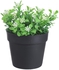 Get Plastic Round Vase With Flowers, 9 Cm - Green with best offers | Raneen.com