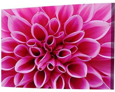 Modern Canvas Tableau - Beautiful Flower Multicolour 70x100cm