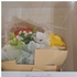 Beautiful Flower Gift Box For All Occasions