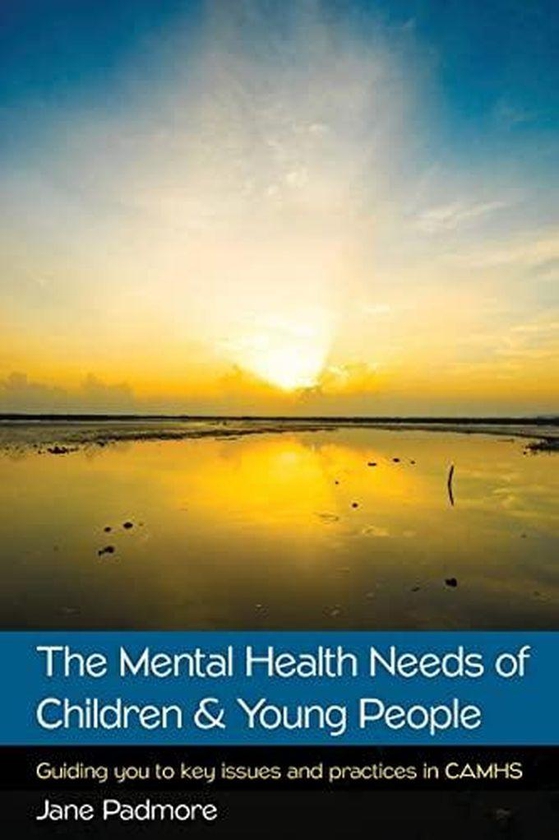 Mcgraw Hill The Mental Health Needs Of Children & Young People: Guiding You To Key Issues And Practices In Camhs ,Ed. :1