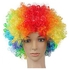 Halloween Clown And Fans - Multicolored Wig