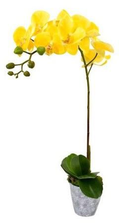 Artificial Phalaenopsis Orchid Flower With Moss Yellow 62x12centimeter