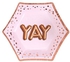 Neviti Glitz & Glamour Pink & Rose Gold Plate - Small - Yay- Babystore.ae