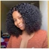 Quality Natural Curly Hair Wig With Closure