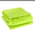 Plain Coral Fleece Throw Blanket (green)