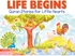 Goodword - Life Beginers (PB)- Babystore.ae