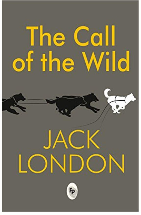 The Call Of The Wild - Paperback