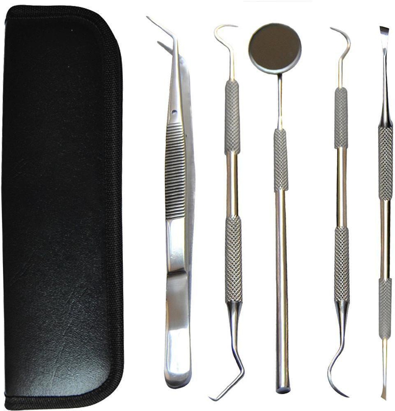 5 Pcs Dental Mirror Toothpick Tweezer and Teeth Cleaning Tool Set