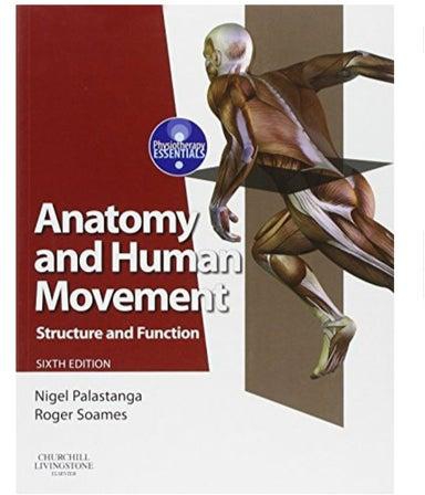 Anatomy And Human Movement paperback english - 41151