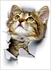 Super Cute Vivid 3D Cat Wall Sticker Multicolour