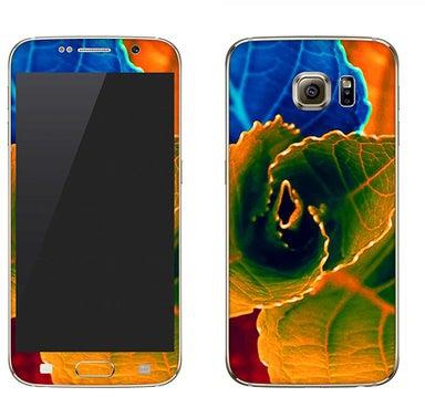 Vinyl Skin Decal For Samsung Galaxy S6 Bloomin Autumn Leaves