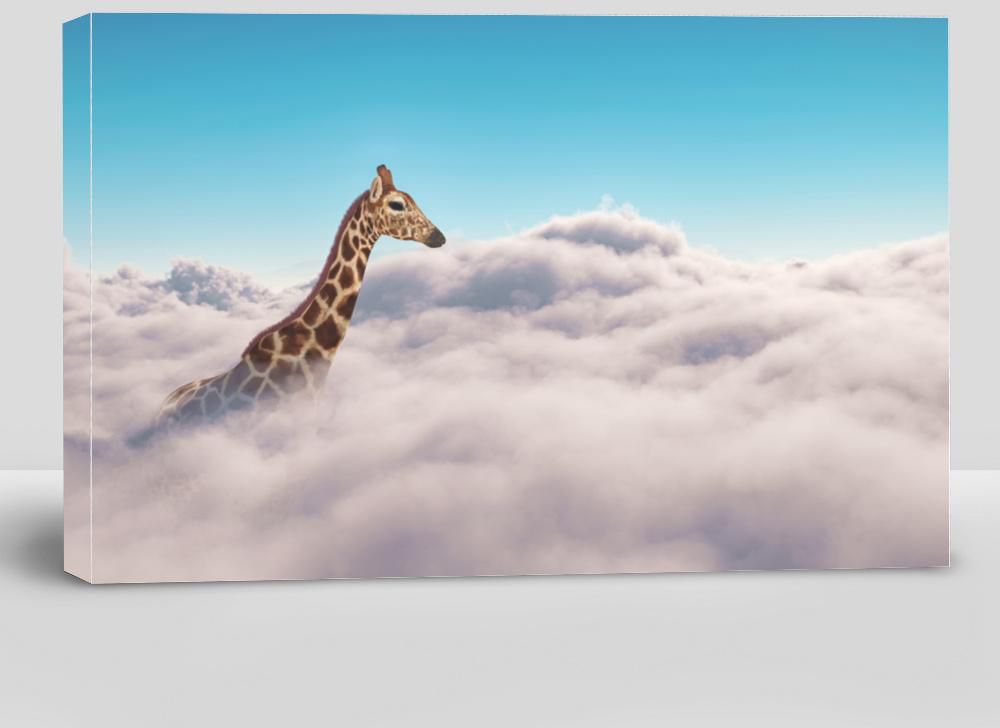 Giraffe Above Clouds . This Is a 3D Illustration