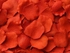 1000 piece Red Silk Rose Petals Artificial Flower Wedding Decor