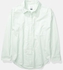 American Eagle Oversized Oxford Button-Up Shirt