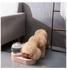 Double Dog Cat Bowls Water and Food 2 In1 Bowl Set Detachable Stainless Steel Bowl Automatic Water Dispenser Bottle Pet Feeder multicolour 33*17*21cm