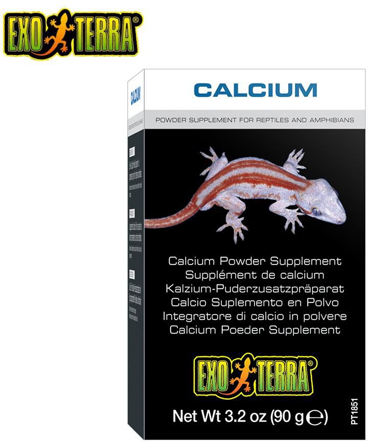 Exo Terra Calcium Powder Supplement 90g - PT1851