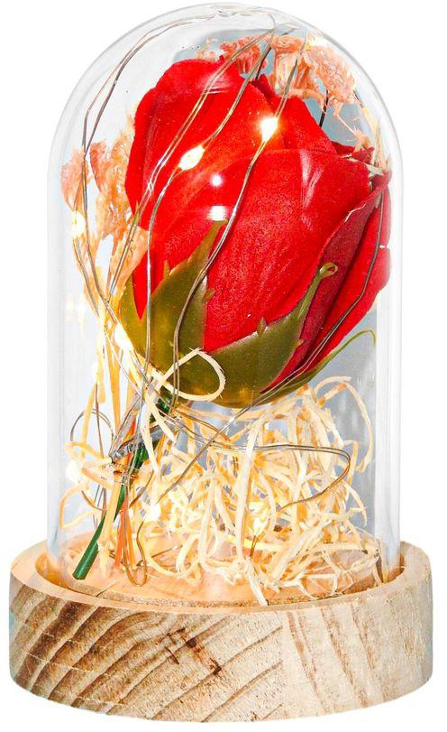Rose Red With Fairy String Lights In Dome For Christmas Valentine's Day Gift A- 11X7.5 CM LED Light