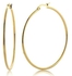Fashion Diameter Hoop Earrings