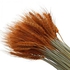 Fancy Natural Dry Wheat Grass Bouquet Dried Flowers Painted Bull Shot