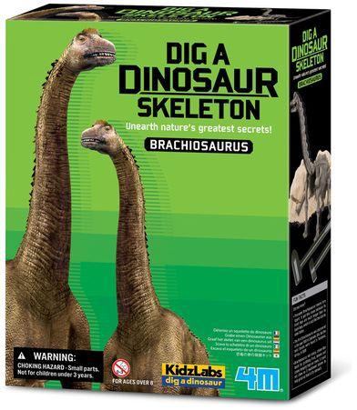 4M لعبة معدات الكشف عن هيكل ديناصور براكيوصور من فور ام