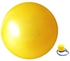 كرة لياقة بدنية زلقة ومضادة للانفجار مع مضخة 65 سم