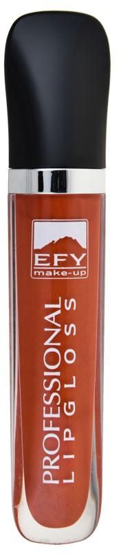 EFY E102-16 Pofessional Lipgloss